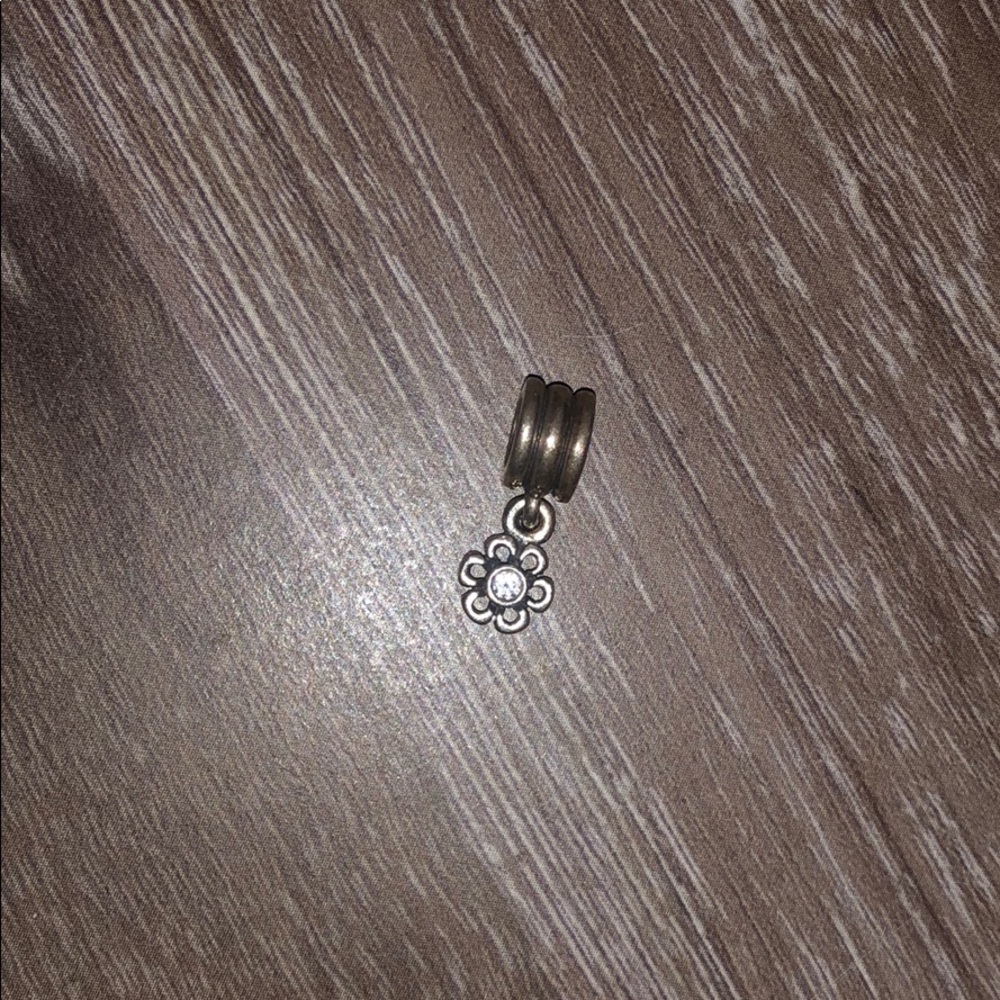 Pandora Charm